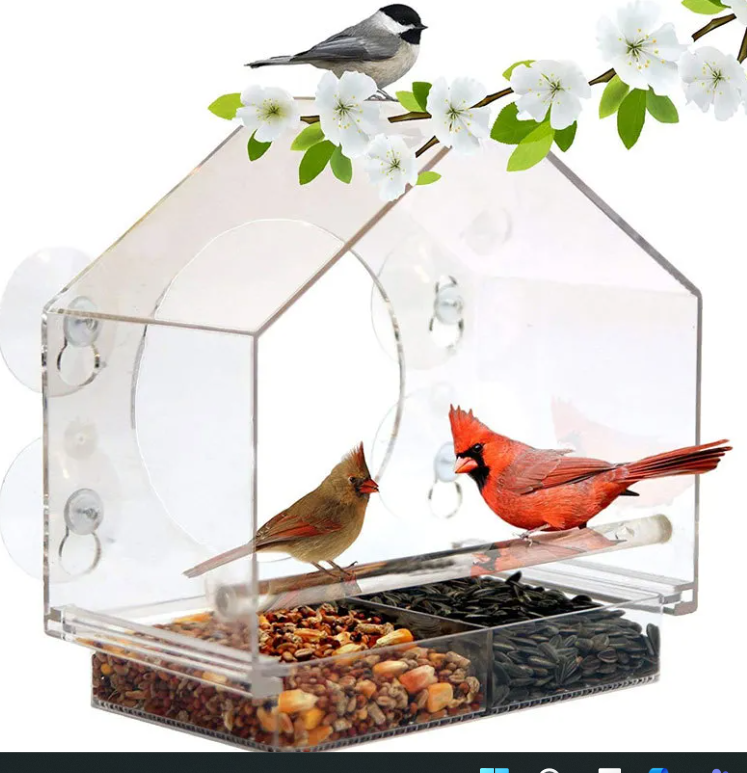 Comedero Inteligente para Aves – Alimentador Automático para Pájaros y Aves de Jardín