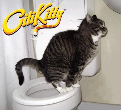 Kit Entrenador para Gatos en el Inodoro – Higiene sin Arena