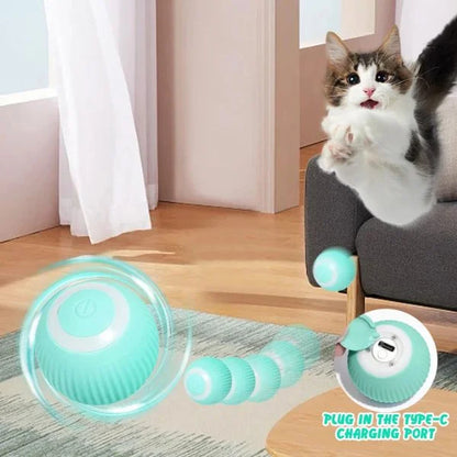 Cat Ball MeowMotion 02
