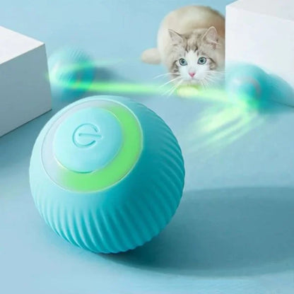 Cat Ball MeowMotion