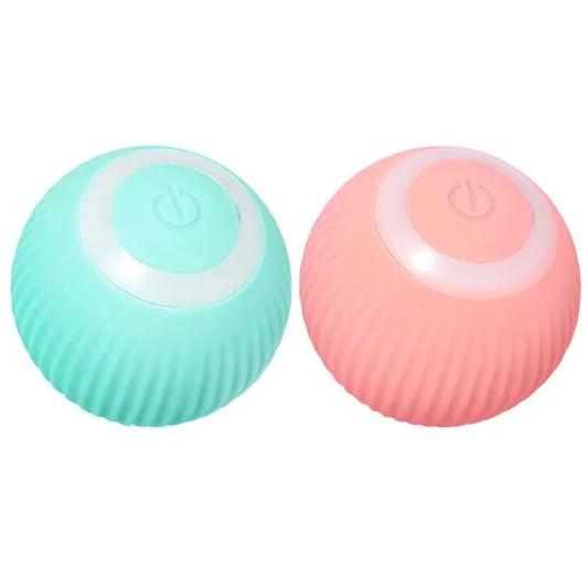 interactive cat toy