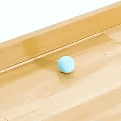 Cat Ball MeowMotion - Pawsyhome