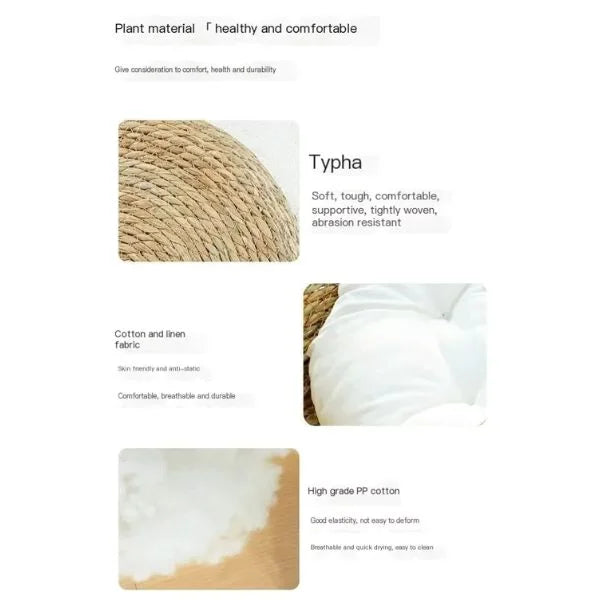 Cat Beds UK