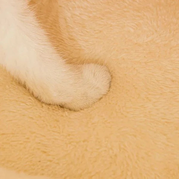 Cat Bed PlushDen Pawsyhome