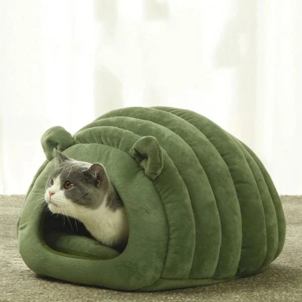cat bed