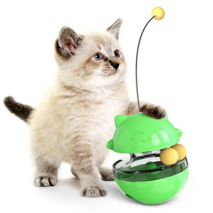 cat toy