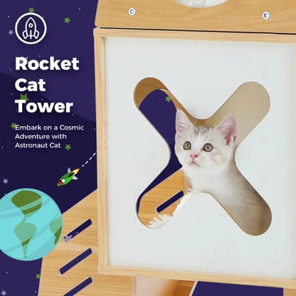interactive cat toy