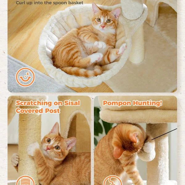 Cat Furniture