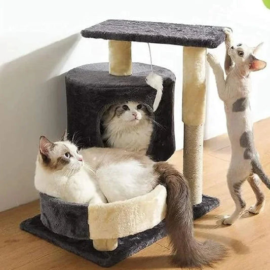 interactive cat toy