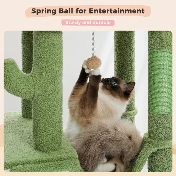 cat toy