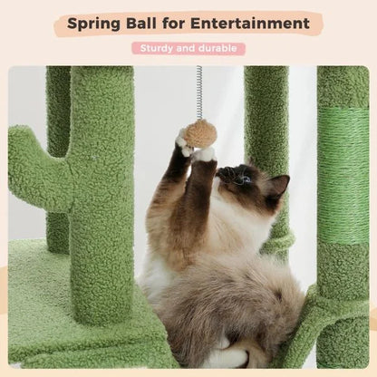 cat toy