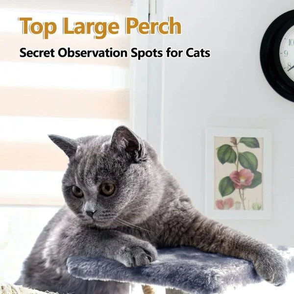 CAT TOY