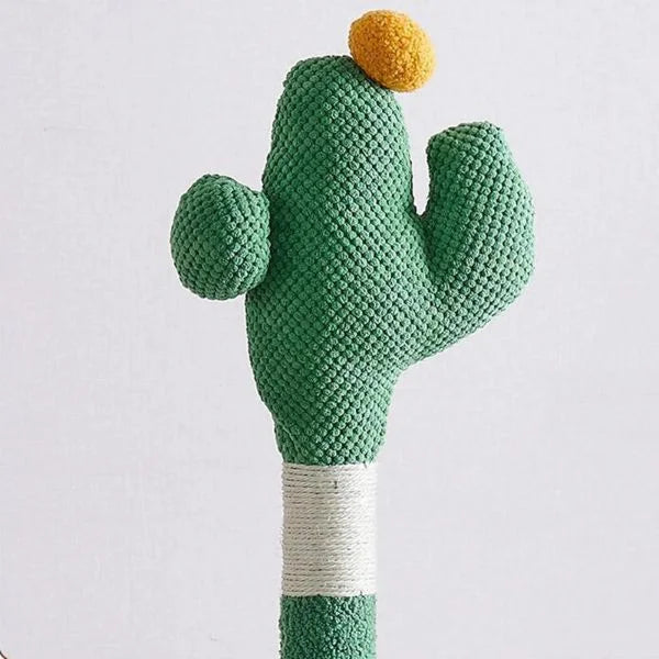 cat toy