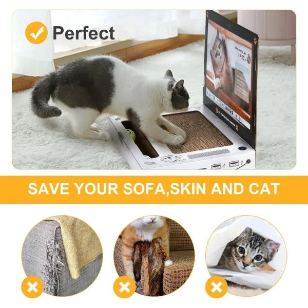 cat scratching board