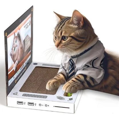 cat scratching