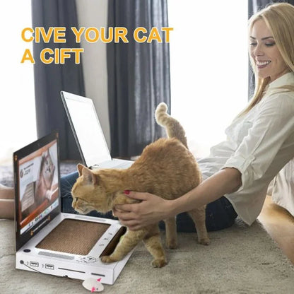cat scratch toy