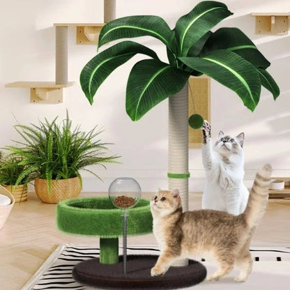 cat scratching