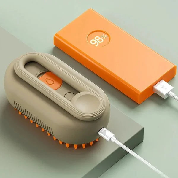 steam brush for cat 01