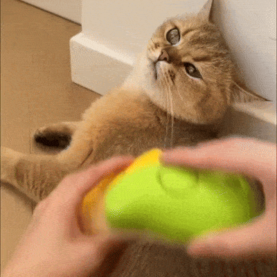 Cat Steam Brush PureFur - Pawsyhome