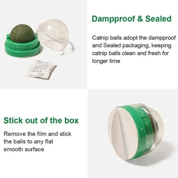Catnip Balls details