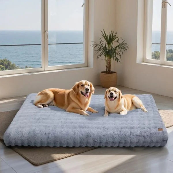 Dog Beds Uk