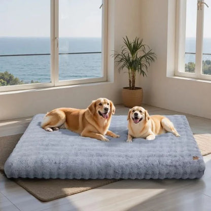 Dog Beds Uk