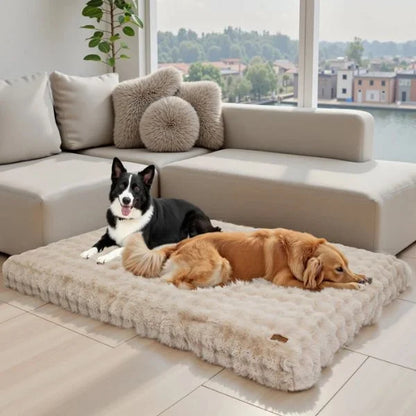 Dog Beds