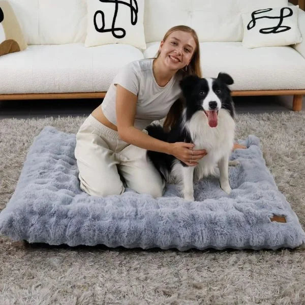 Dog Bed Blue