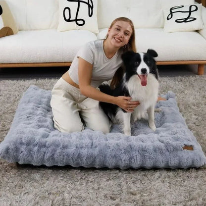 Dog Bed Blue