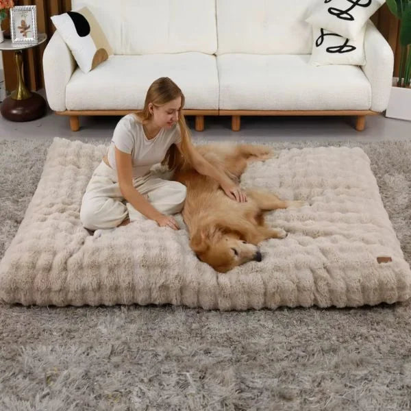 Dog Bed ComfortLuxe UK