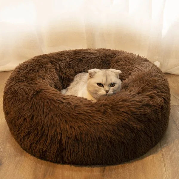 Dog Bed DreamDonut UK