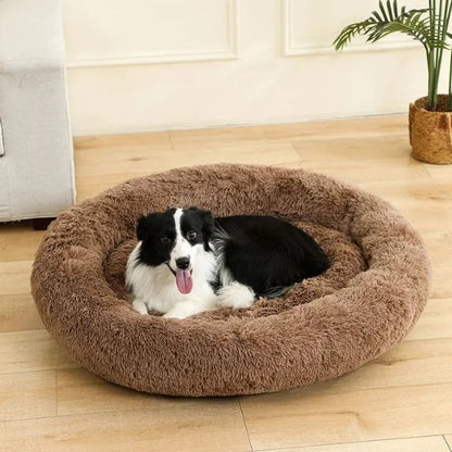 Dog Beds