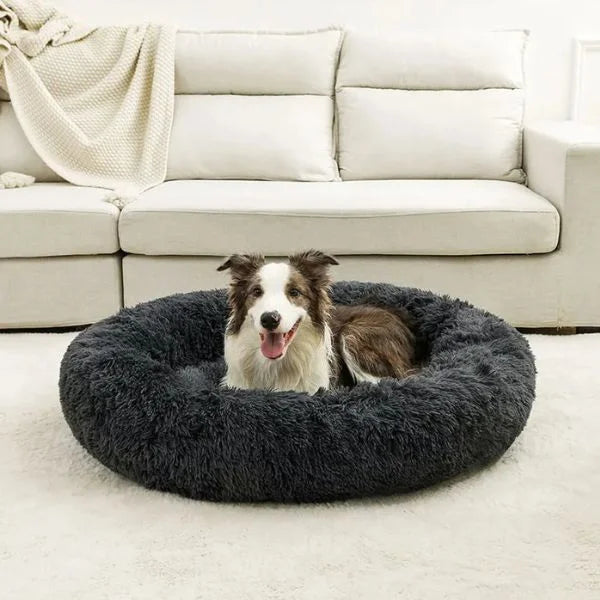 Dog Bed UK