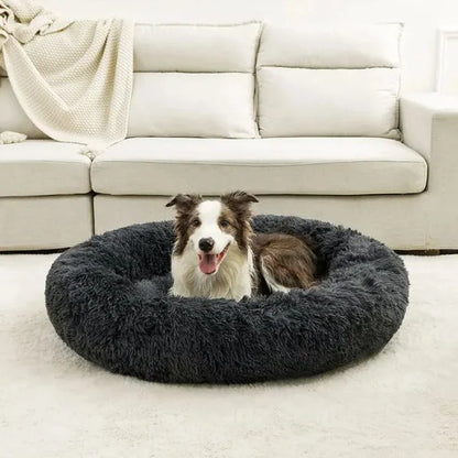 Dog Bed UK