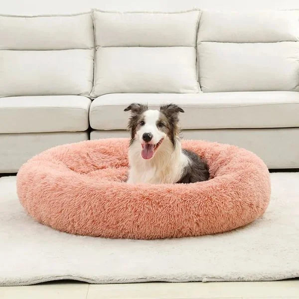 Dog Beds UK