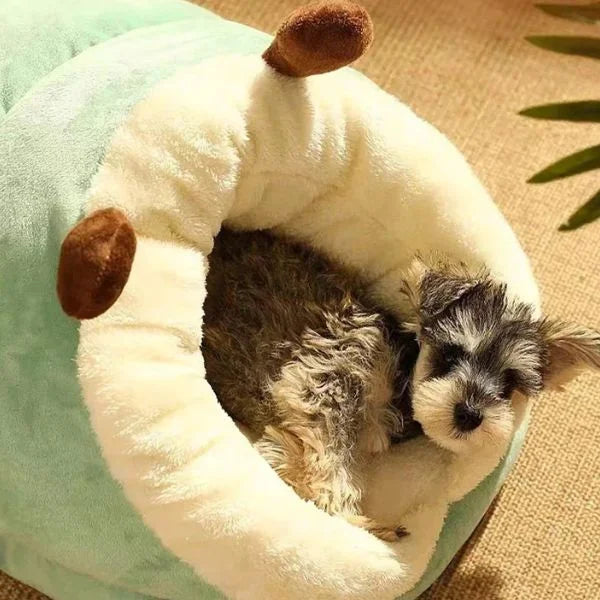 Dog Bed