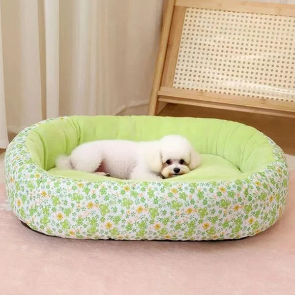 Dog Beds