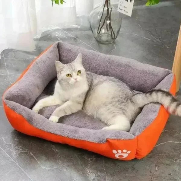 Dog Bed 
