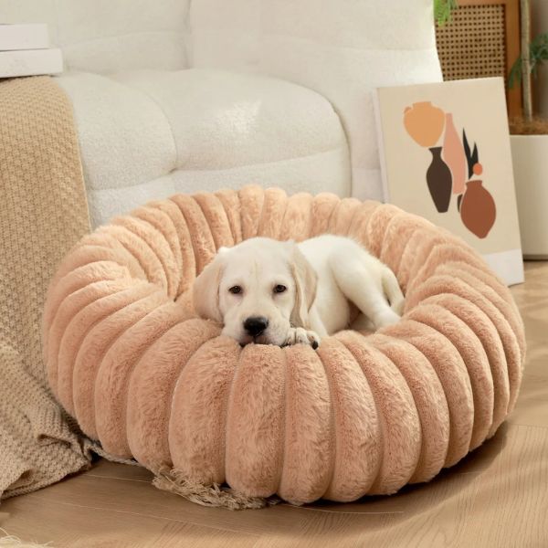 DOG BED 