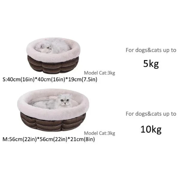 Dog Bed Size