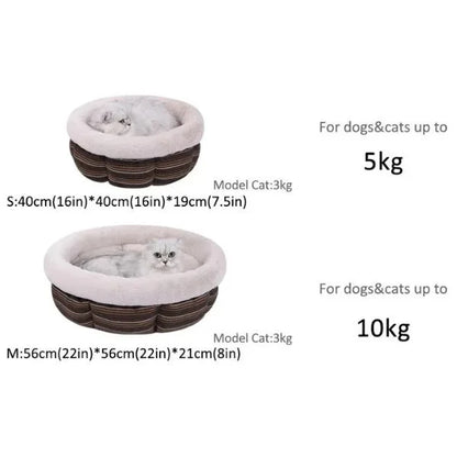 Dog Bed Size
