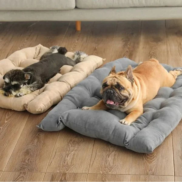 Dog Bed WinterNest Sofa 01