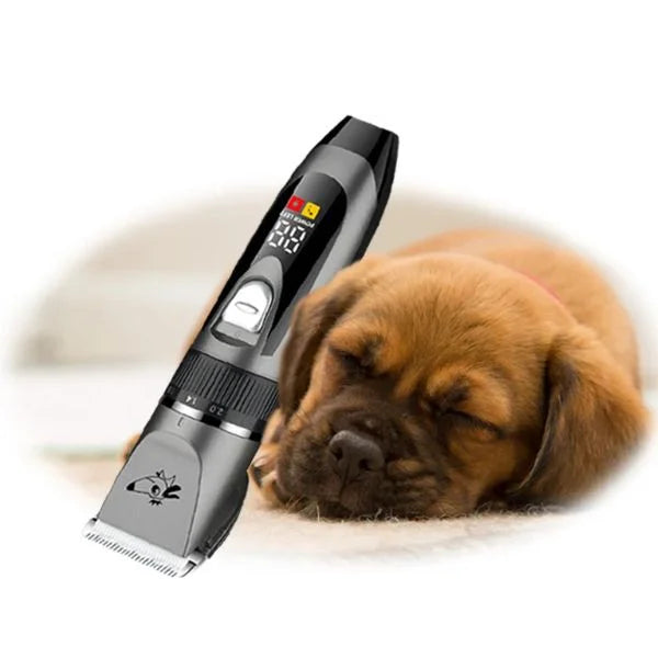 dog clippers