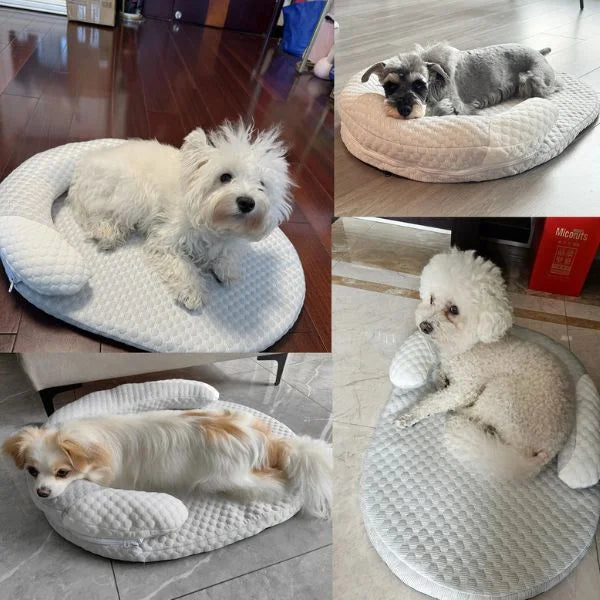Dog Bed UK