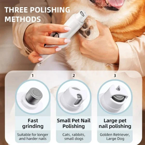 dog clippers