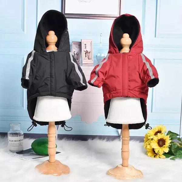 Dog Raincoat Pawsy Home