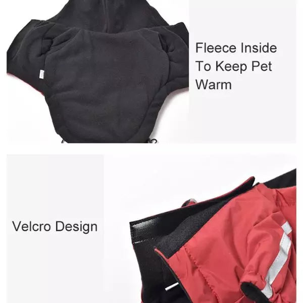 Dog Raincoat UK