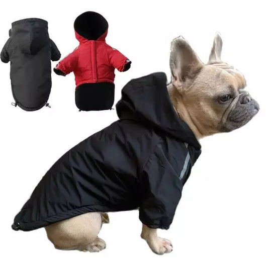 Dog Raincoat AutumnShield
