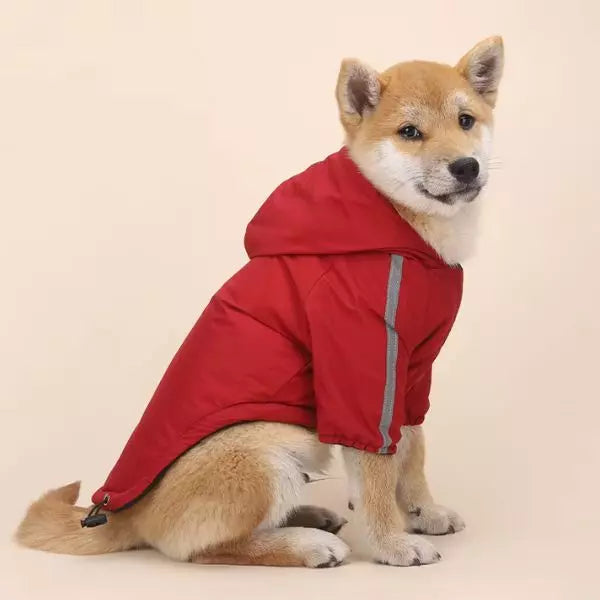 Dog Raincoat AutumnShield UK