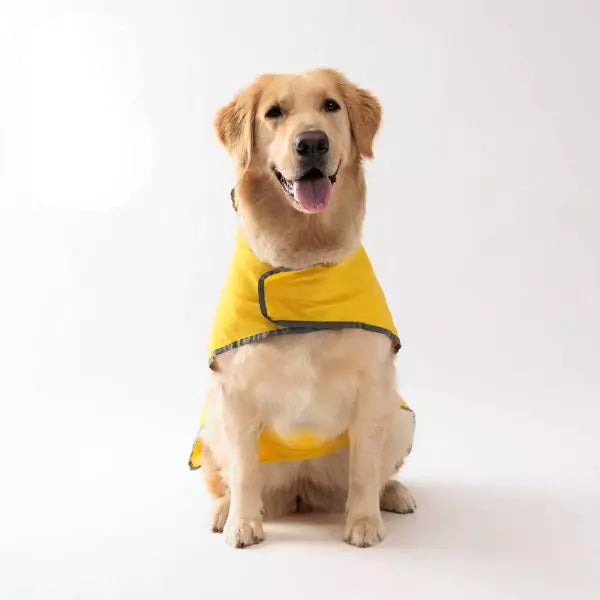 Dog Raincoat BrightPaws UK